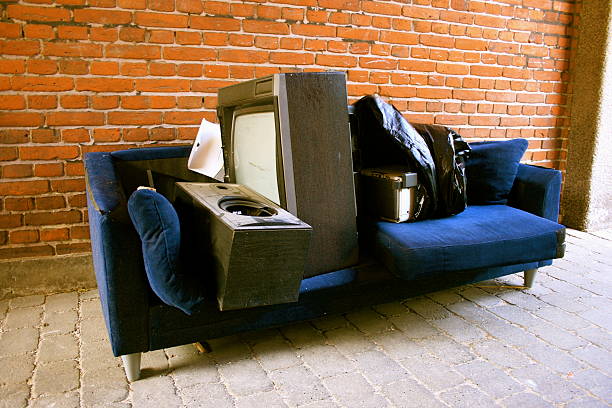 Best Professional Junk Removal  in Stockbridge, MI